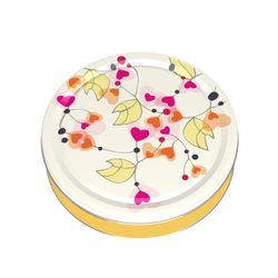 Galleta Kelsen Amore Lata 227 g